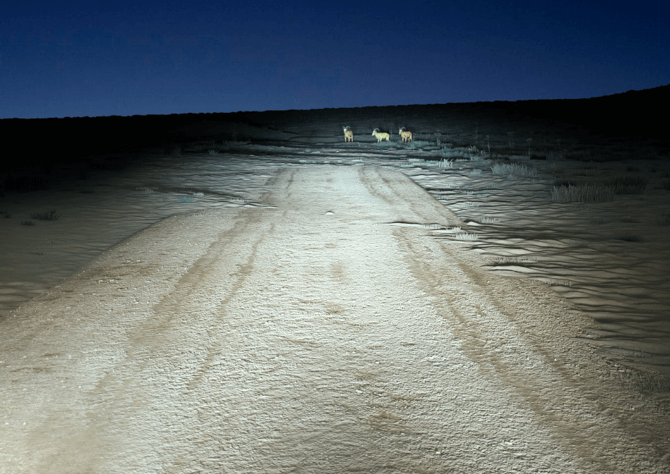 Ultinon pro 9200 standard road