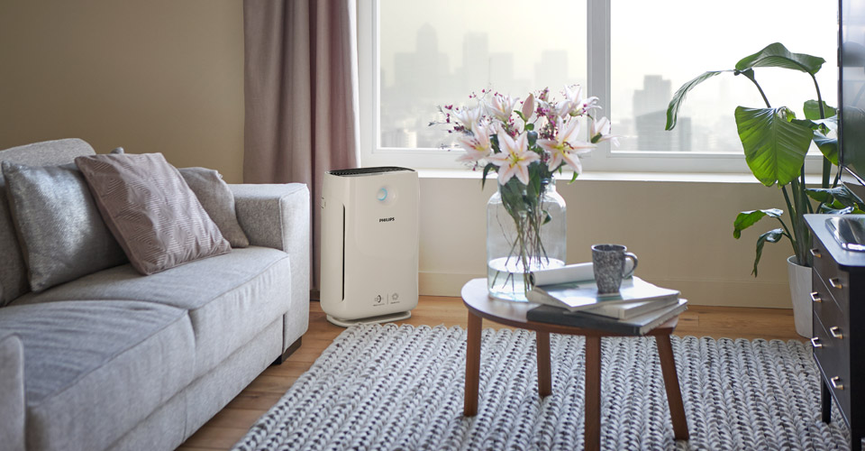 D&rsquo;o&ugrave; vient l&rsquo;allergie &agrave; la poussi&egrave;re