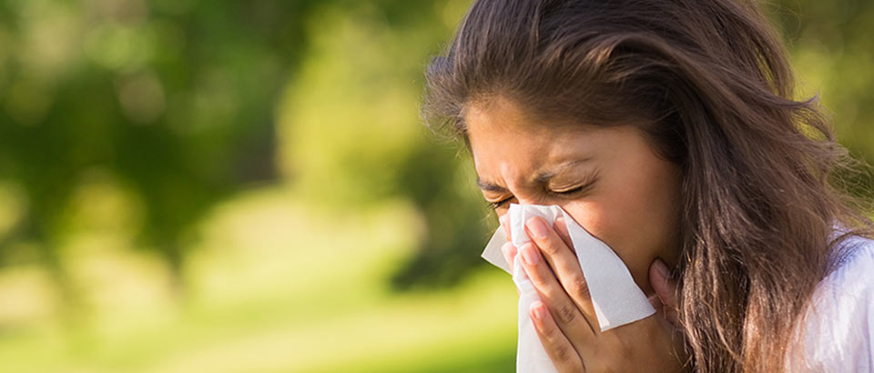 Allerg&egrave;nes domestiques&nbsp;&ndash; Types de pollen et quand les trouve-t-on&nbsp;?