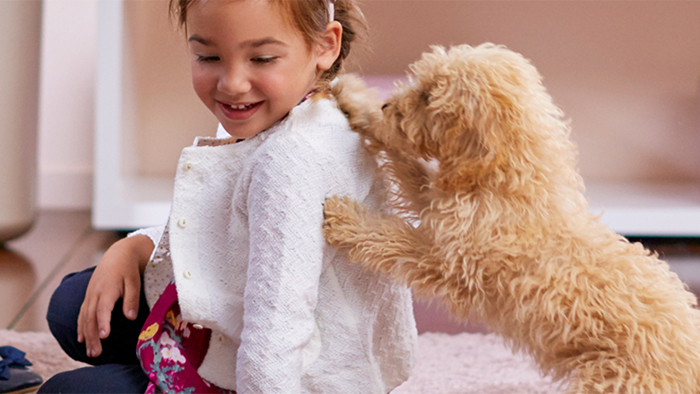 Vloerbedekking reinigen - Tapijt schoonmaken