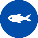 Icône « Poisson »